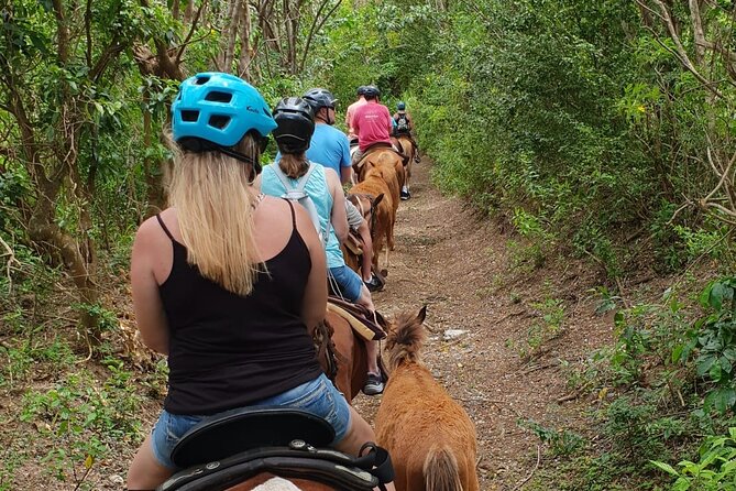 3 Hours Horseback Riding from Nature Trails to Sofa Stone - Key points to know before you book