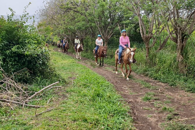 3 Hours Horseback Riding from Nature Trails to Sofa Stone - Getting settled with the horses
