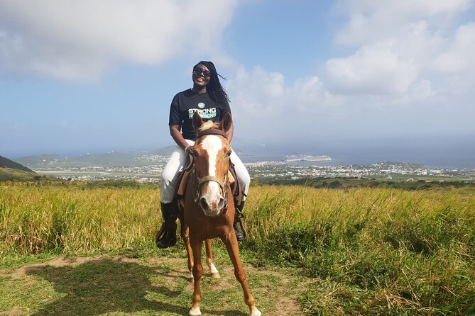 3 Hours Horseback Riding from Nature Trails to Sofa Stone - Reaching the top and Sofa Stone