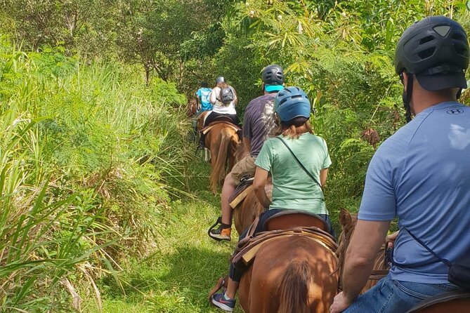 3 Hours Horseback Riding from Nature Trails to Sofa Stone - How the guides shape the experience