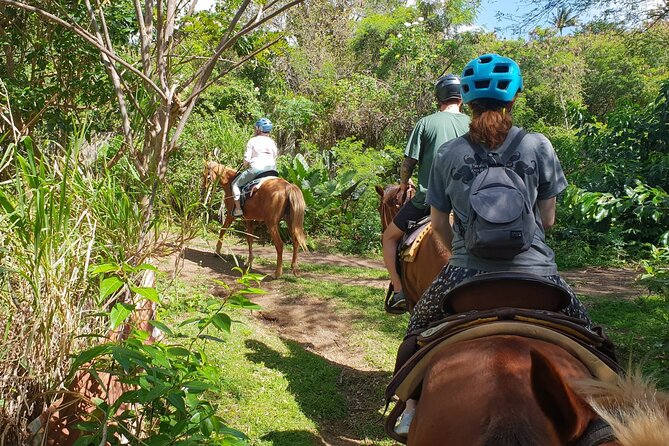 3 Hours Horseback Riding from Nature Trails to Sofa Stone - Price, timing, and overall value