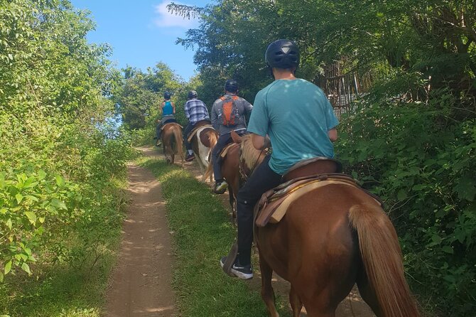 3 Hours Horseback Riding from Nature Trails to Sofa Stone - Who should book this ride?