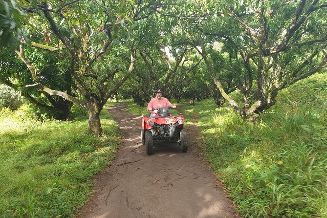 ATV Tour of St Kitts - Hotel and cruise-port pickup