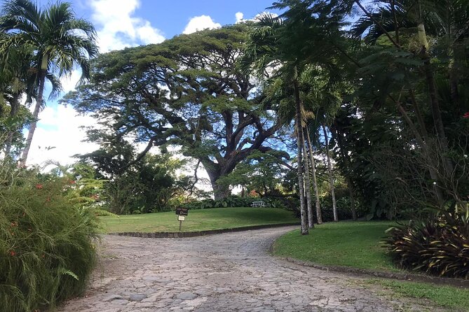 Basseterre Half Day Tour - South Friars Beach and the meeting of two seas