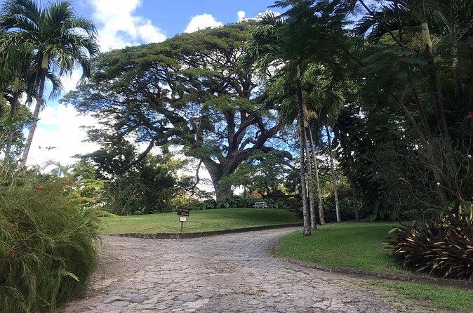 Basseterre Half Day Tour - Timothy Hill and the extra viewpoints