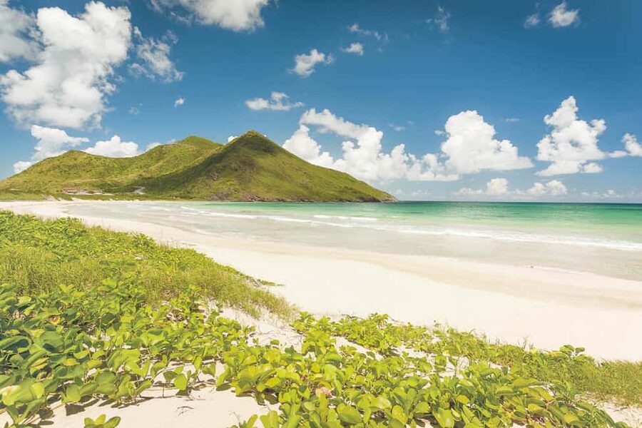 Basseterre: Highlights Capital and Beach Tour - Starting at Basseterre’s dock arrival hall