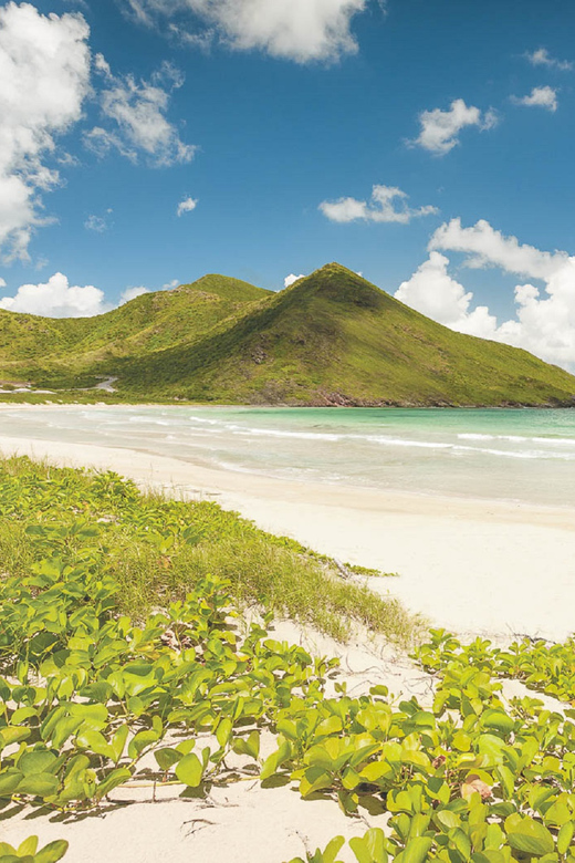 Basseterre: Highlights Capital and Beach Tour - What $37 buys you