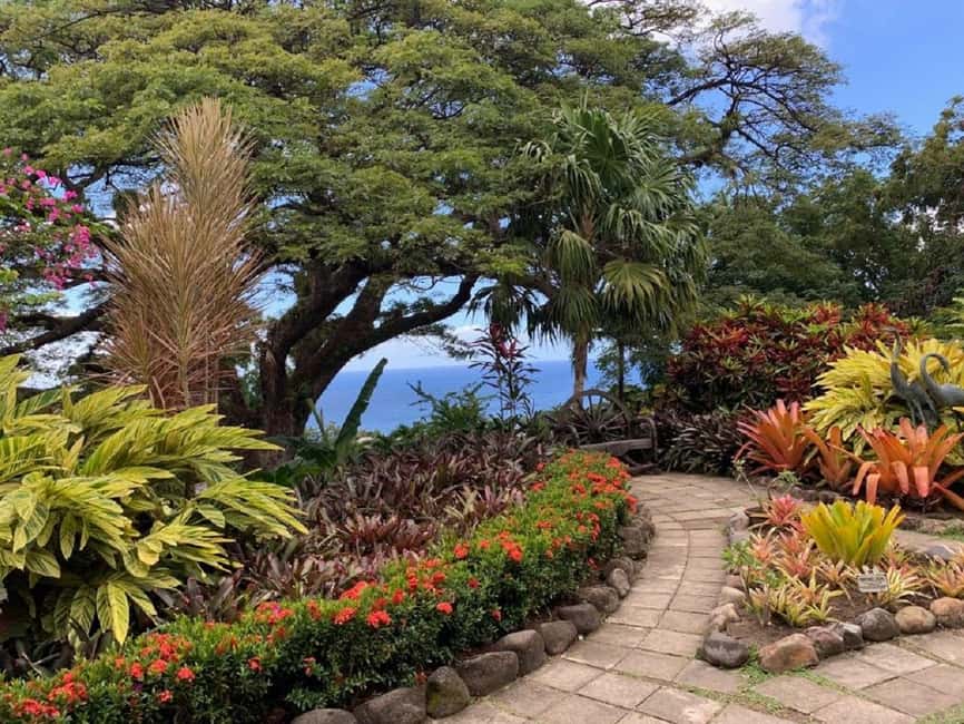 Basseterre: Plantation and Beach Extravaganza - Key Points to Know Before You Go