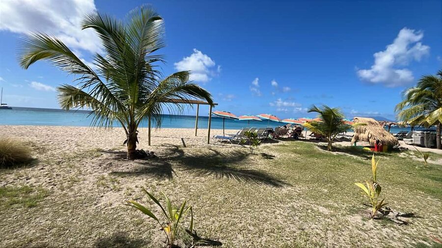 Basseterre: St. Kitts and Nevis Catamaran Tour with Lunch - Returning with music and open water