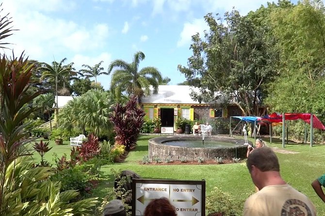 Best of St. Kitts Highlight Tour and Beach - Carib Petroglyphs and the island’s older story
