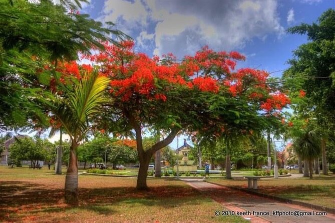 Best of St. Kitts Private Half Day Tour - Caribelle Batik and a distinctly local craft