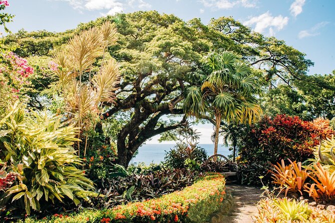 Best of St. Kitts Private Half Day Tour - Brimstone Hill Fortress after the climb