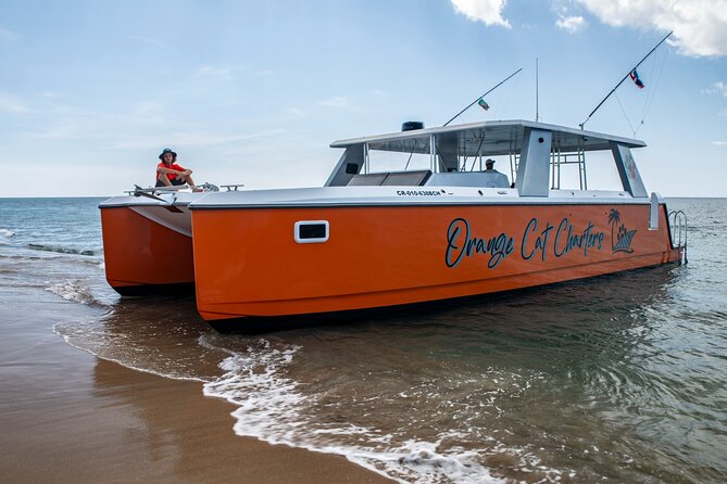 Full Day Luxury Snorkel Charter With Lunch (Minimum 10 Guests) - Snorkeling in a private bay
