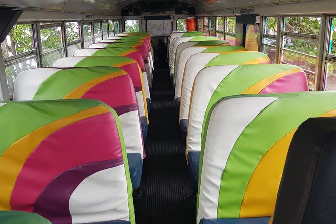 Half Day St. Kitts Party Bus City Excursion and Beach - Air Conditioning and Comfort on the Ride