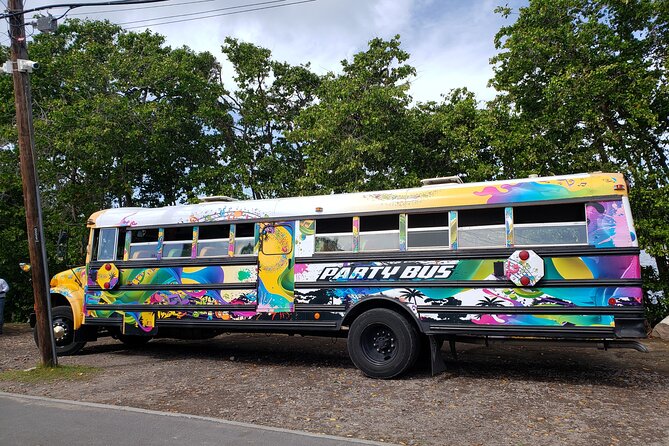 Half Day St. Kitts Party Bus City Excursion and Beach - Booking and Cancellation Advice