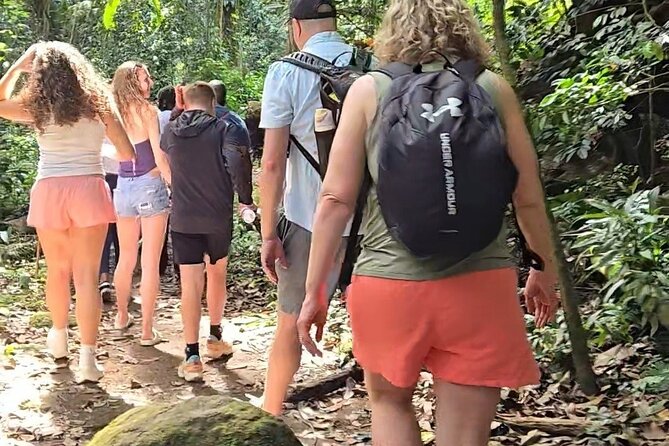 Half-Day St. Kitts Rainforest Hike - Key points at a glance