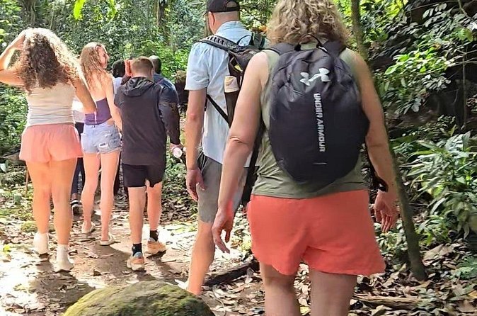 Half-Day St. Kitts Rainforest Hike - Plant medicine, island culture, and stories from Leroy
