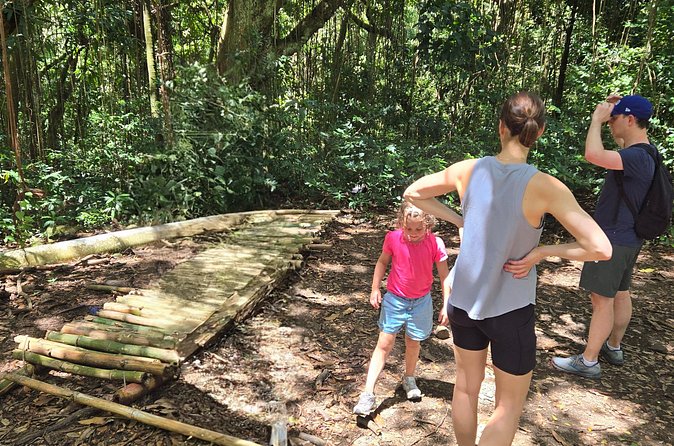 Half-Day St. Kitts Rainforest Hike - Waterfalls, monkeys, and the limits of wildlife watching