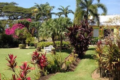 Half-Island Tour of St Kitts