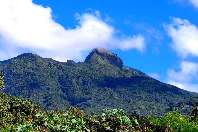 Hike St. Kitts: Highest peak Mount Liamuiga Volcano - The hard part: steep volcanic ground