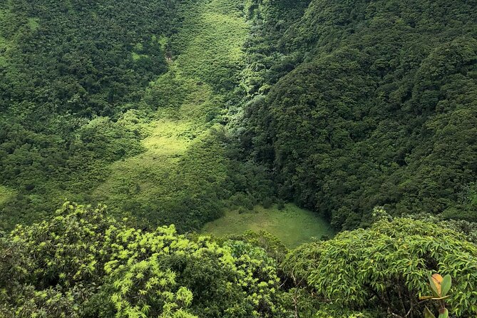 Hike St. Kitts: Highest peak Mount Liamuiga Volcano - The descent is part of the test