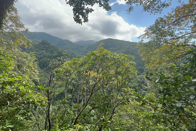 Hike St Kitts: Wingfield Rainforest and Romney Experience - Key points at a glance
