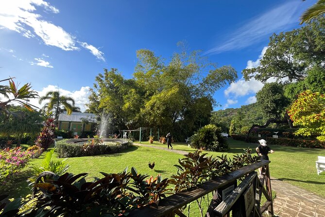 Hike St Kitts: Wingfield Rainforest and Romney Experience - Romney Manor and Caribelle Batik