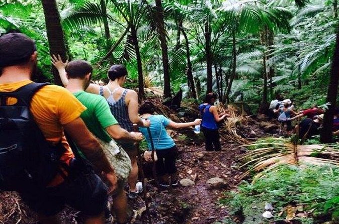 Hiking Mount Liamuiga Volcano in St Kitts - Local Food and the Volcano Bar Stop