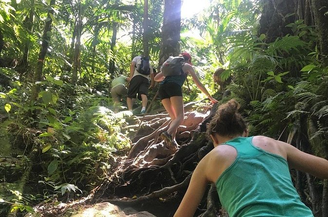 Hiking Mount Liamuiga Volcano in St Kitts - How Hard Is the Trail?