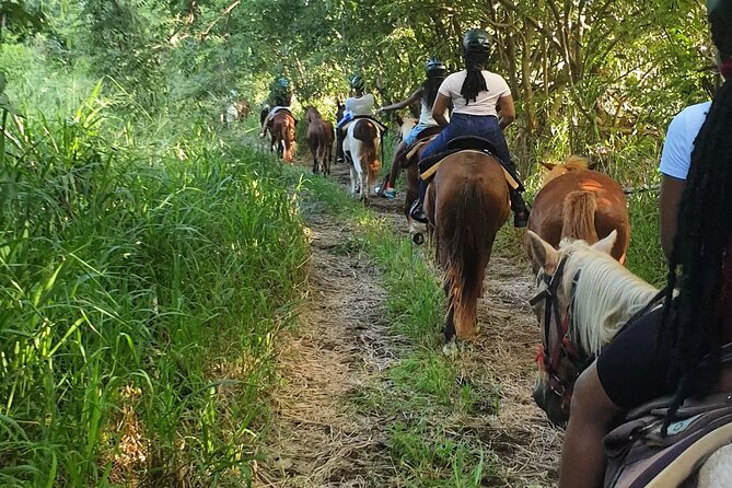 Horseback Riding, A Scenic Escape - Wildlife, Monkeys, and The Value of A Local Guide