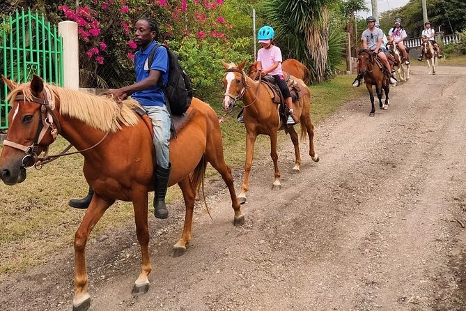 Horseback Riding, A Scenic Escape - Is $110 A Fair Price?