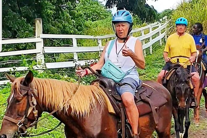 Horseback Riding, A Scenic Escape - Timing, Weather, and Cancellation Details