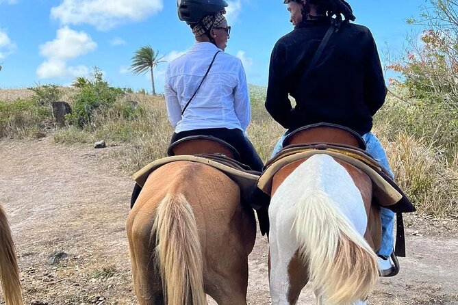 Horseback Riding, A Scenic Escape - Riding Through Mango, Guava, and Poinciana