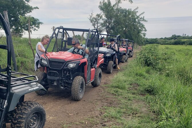 Jungle bikes Dune Buggy - Who will enjoy this ride most