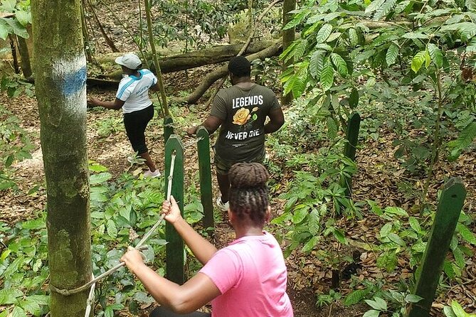 Ken's Panoramic Rainforest Tour - Two Basseterre churches with very different stories