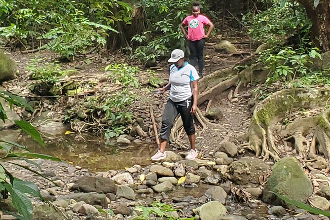 Ken's Panoramic Rainforest Tour - The War Memorial and St Kitts public memory