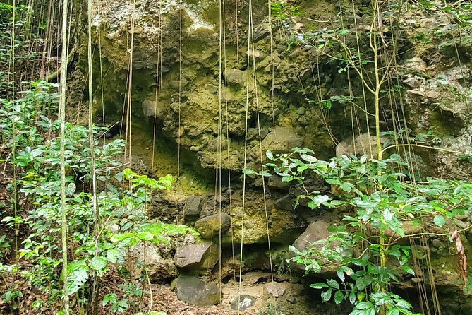 Ken's Panoramic Rainforest Tour - Old Road and the Carib petroglyphs