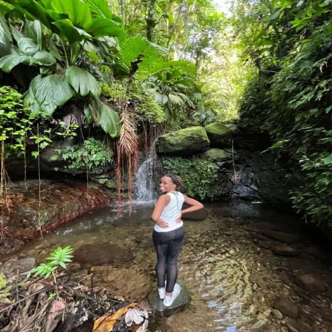 Lawyer Stephen Hike with Waterfall and Cave Hike - Key points at a glance