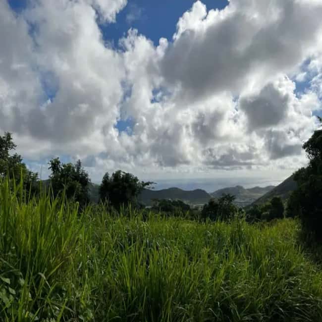 Lawyer Stephen Hike with Waterfall and Cave Hike - The cave adds a welcome change of pace