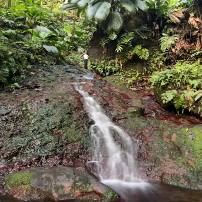 Lawyer Stephen Hike with Waterfall and Cave Hike - The first waterfall is your sensible turning point