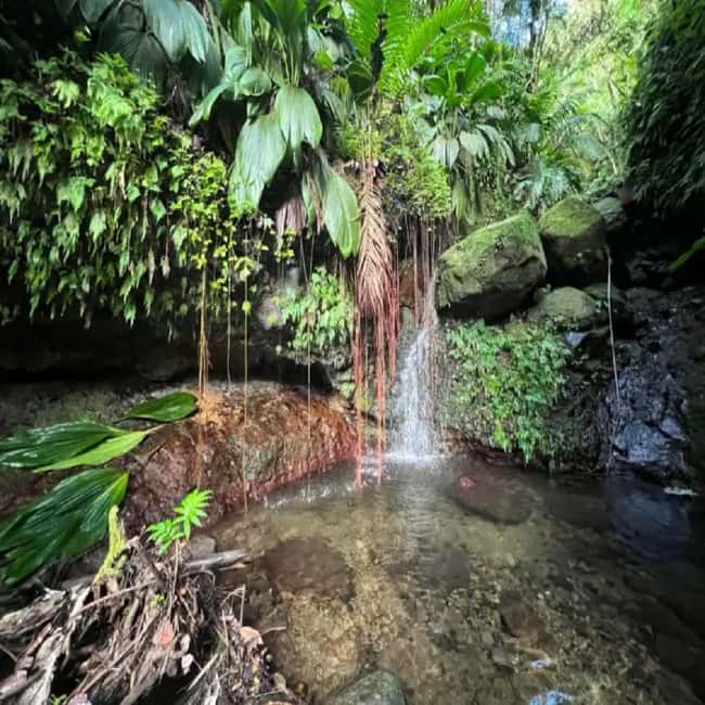 Lawyer Stephen Hike with Waterfall and Cave Hike - What the guide adds beyond navigation