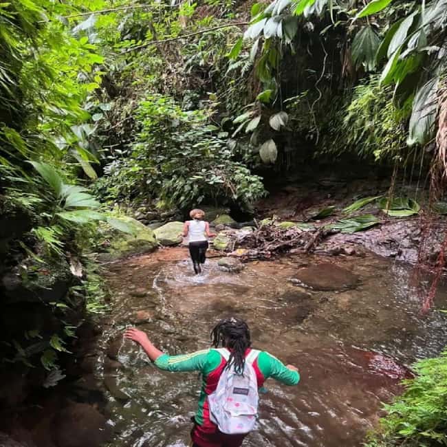 Lawyer Stephen Hike with Waterfall and Cave Hike - Who should book this hike?