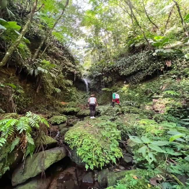 Lawyer Stephen Hike with Waterfall and Cave Hike - Pickup turns this into a five-hour island outing