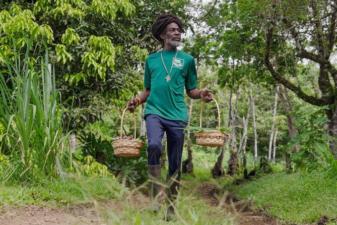 Liamuiga Natural Farm Tour - St.Kitts' Coffee Farm - The Ride Up From Molineux