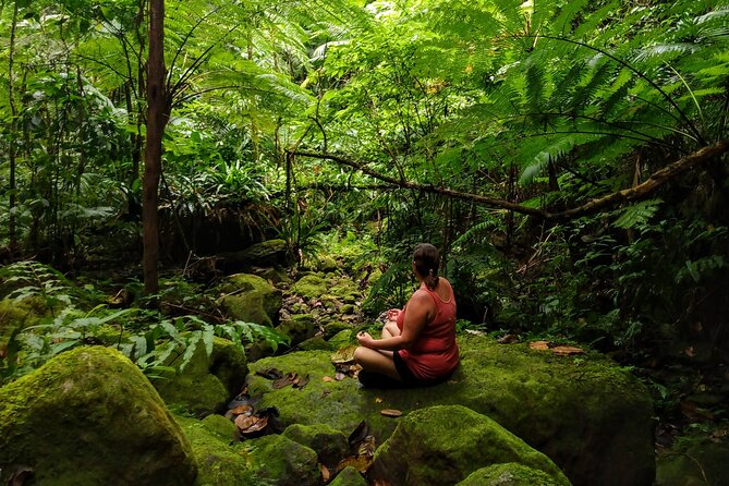 Mindfulness Rainforest Hike, Forest Bathing, Volcanic Hot Springs - Key details before you book