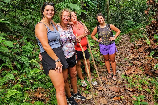 Mindfulness Rainforest Hike, Forest Bathing, Volcanic Hot Springs - A peaceful side of Nevis