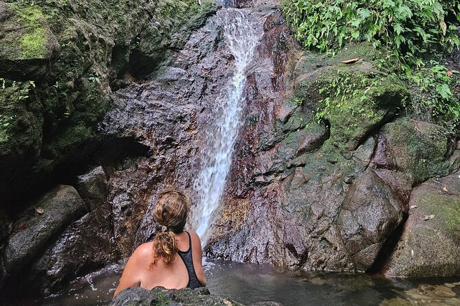 Mindfulness Rainforest Hike, Forest Bathing, Volcanic Hot Springs - Walking the rainforest at a mindful pace