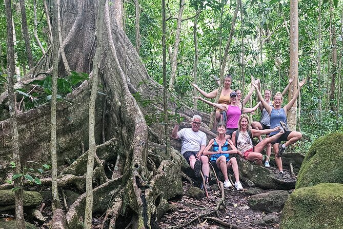 Mindfulness Rainforest Hike, Forest Bathing, Volcanic Hot Springs - Meditation, stretching, and self-massage