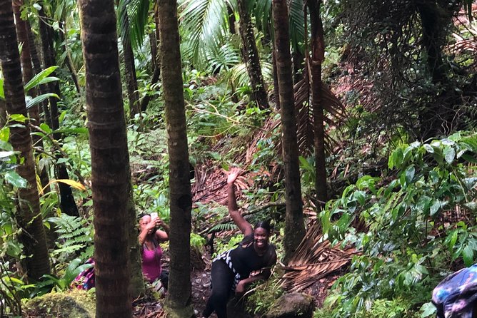 Mount Liamuiga Volcano Tours - Why Mount Liamuiga feels different from a standard St. Kitts excursion