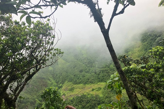 Mount Liamuiga Volcano Tours - What the summit can give you